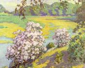 月桂树在飞行点 - 威廉·查德威克